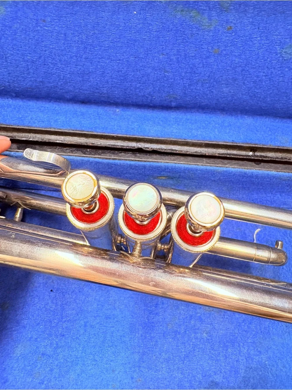 Master Trumpet - Picture 6 of 11